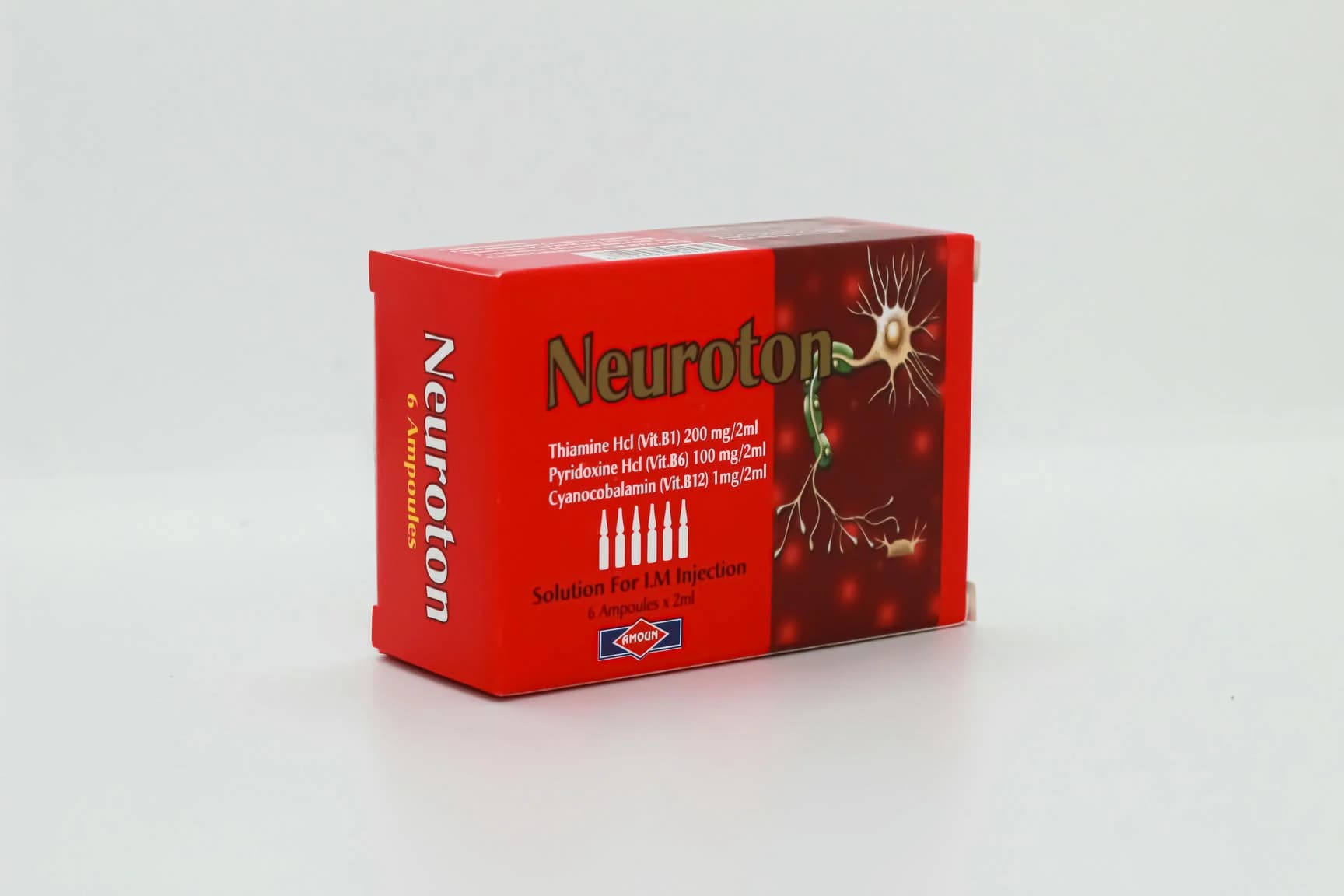 NEUROTON 6 AMP
