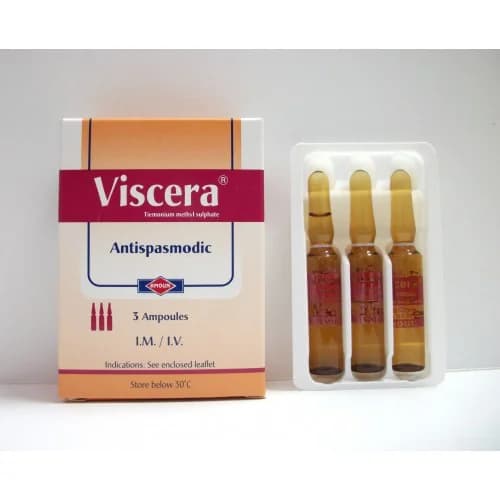 VISCERA 3AMP