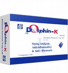 DOLPHIN - K 6 AMP 