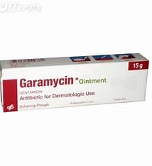 GARAMYCIN OINT 15 GM 