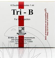 TRI - B 6 AMP 